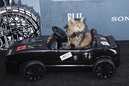 Filmpremiere 'Caught Stealing' in New York