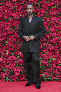 Filmpremiere 'Die Rosenschlacht' in London