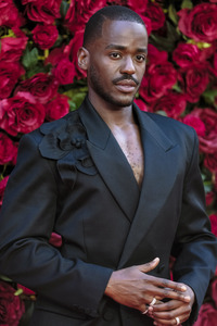 Filmpremiere 'Die Rosenschlacht' in London