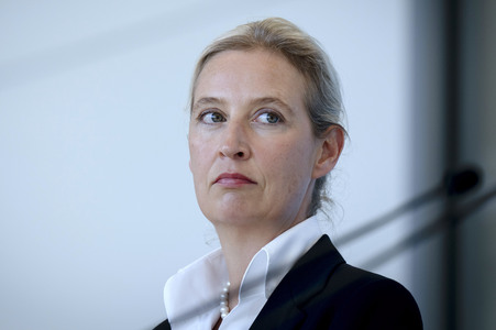 Fraktionssitzung der AfD-Bundestagsfraktion in Berlin