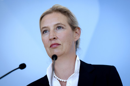 Fraktionssitzung der AfD-Bundestagsfraktion in Berlin