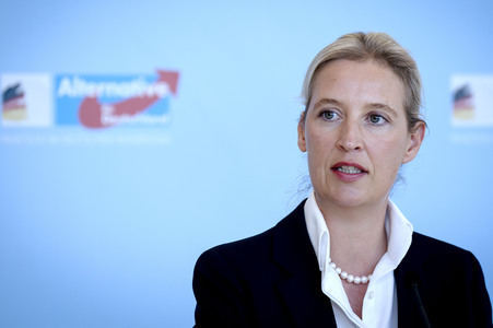 Fraktionssitzung der AfD-Bundestagsfraktion in Berlin