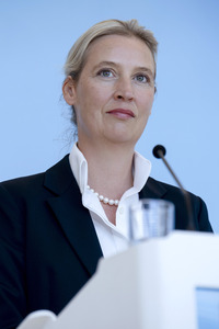 Fraktionssitzung der AfD-Bundestagsfraktion in Berlin