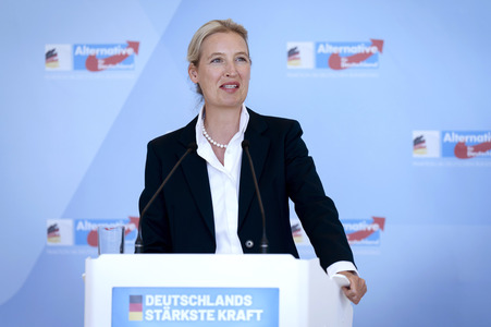 Fraktionssitzung der AfD-Bundestagsfraktion in Berlin