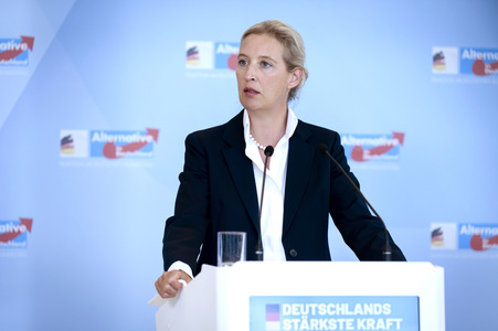 Fraktionssitzung der AfD-Bundestagsfraktion in Berlin