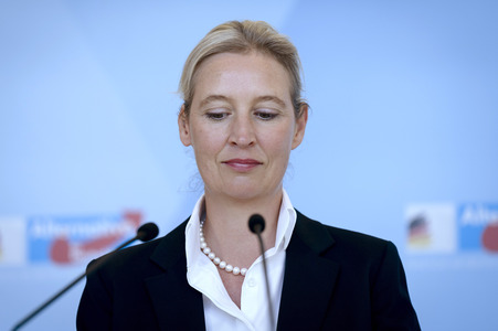 Fraktionssitzung der AfD-Bundestagsfraktion in Berlin