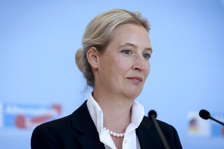 Fraktionssitzung der AfD-Bundestagsfraktion in Berlin