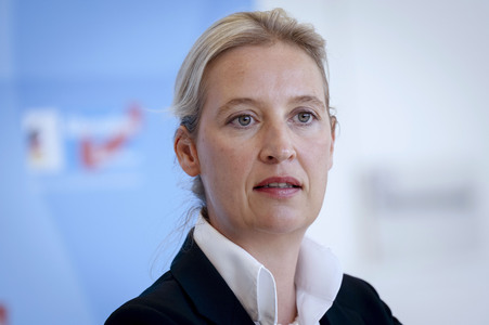 Fraktionssitzung der AfD-Bundestagsfraktion in Berlin