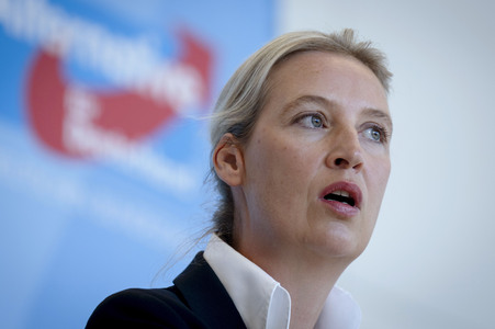 Fraktionssitzung der AfD-Bundestagsfraktion in Berlin