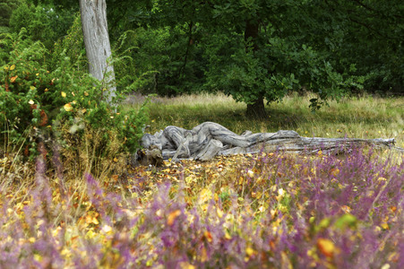 NATURE ART: Heideherbst / Heather Autumn Bodypainting