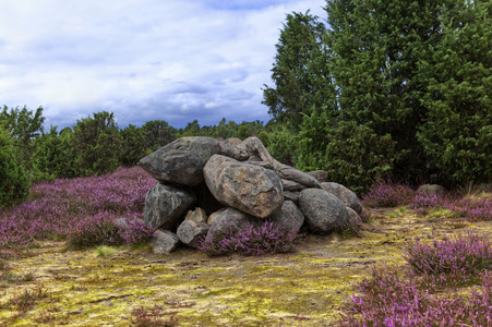 NATURE ART: Heideherbst / Heather Autumn Bodypainting
