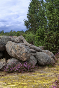 NATURE ART: Heideherbst / Heather Autumn Bodypainting