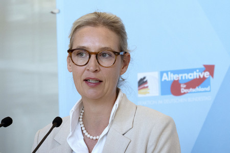 Fraktionssitzung der AfD-Bundestagsfraktion in Berlin