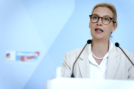 Fraktionssitzung der AfD-Bundestagsfraktion in Berlin