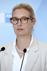 Fraktionssitzung der AfD-Bundestagsfraktion in Berlin