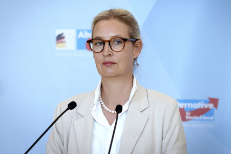 Fraktionssitzung der AfD-Bundestagsfraktion in Berlin