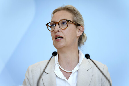 Fraktionssitzung der AfD-Bundestagsfraktion in Berlin