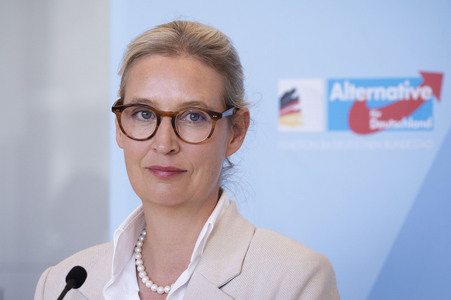 Fraktionssitzung der AfD-Bundestagsfraktion in Berlin