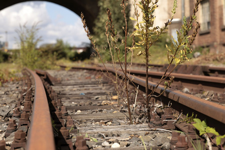Stillgelegte Eisenbahngleise in Köln