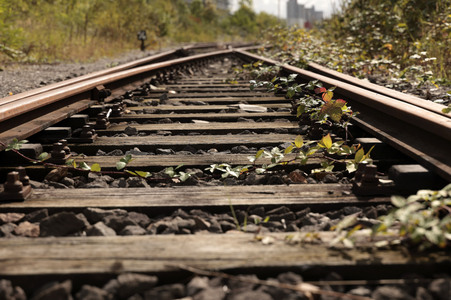 Stillgelegte Eisenbahngleise in Köln
