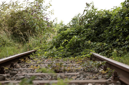 Stillgelegte Eisenbahngleise in Köln