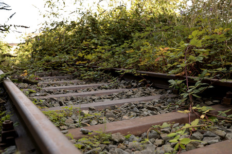 Stillgelegte Eisenbahngleise in Köln