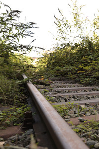 Stillgelegte Eisenbahngleise in Köln