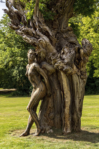 NATURE ART: Akazie / Acacia Bodypainting