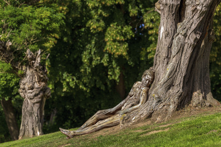 NATURE ART: Akazie / Acacia Bodypainting