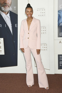 Filmscreening 'After the Hunt' in Los Angeles