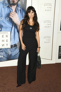 Filmscreening 'After the Hunt' in Los Angeles