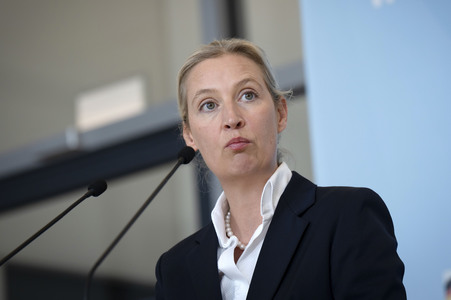 Fraktionssitzung der AfD-Bundestagsfraktion in Berlin