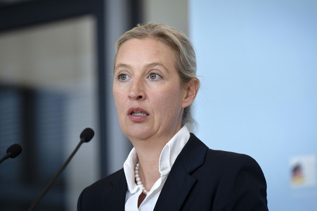 Fraktionssitzung der AfD-Bundestagsfraktion in Berlin