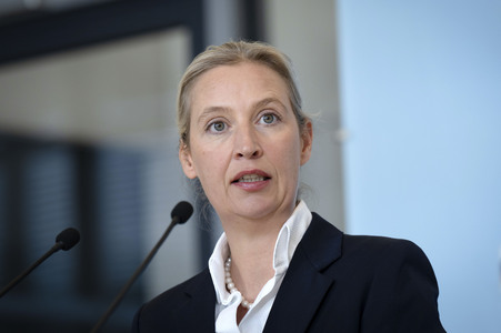 Fraktionssitzung der AfD-Bundestagsfraktion in Berlin