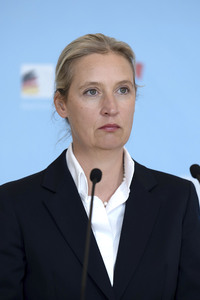 Fraktionssitzung der AfD-Bundestagsfraktion in Berlin