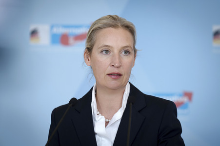 Fraktionssitzung der AfD-Bundestagsfraktion in Berlin