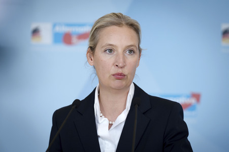 Fraktionssitzung der AfD-Bundestagsfraktion in Berlin