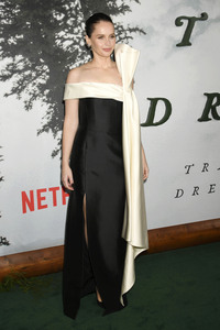 Filmpremiere 'Train Dreams' in Los Angeles