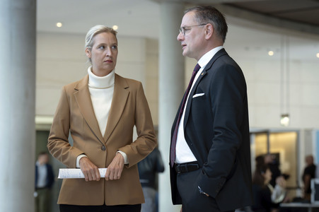 Fraktionssitzung der AfD-Bundestagsfraktion in Berlin