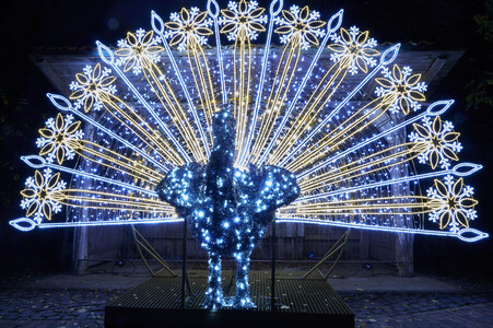 Eröffnung des Christmas Garden 2025 in Hannover