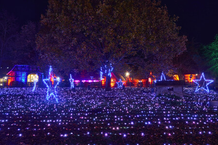 Eröffnung des Christmas Garden 2025 in Hannover
