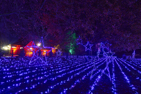 Eröffnung des Christmas Garden 2025 in Hannover
