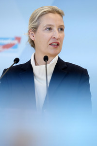 Fraktionssitzung der AfD-Bundestagsfraktion in Berlin