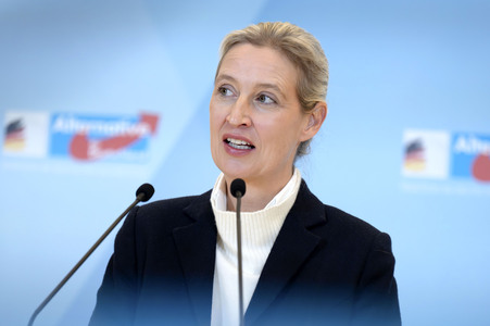 Fraktionssitzung der AfD-Bundestagsfraktion in Berlin