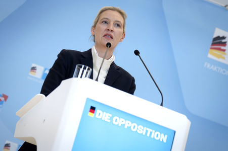 Fraktionssitzung der AfD-Bundestagsfraktion in Berlin