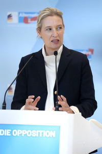 Fraktionssitzung der AfD-Bundestagsfraktion in Berlin