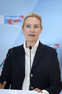 Fraktionssitzung der AfD-Bundestagsfraktion in Berlin