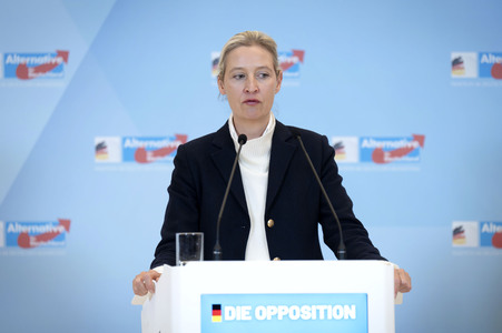 Fraktionssitzung der AfD-Bundestagsfraktion in Berlin