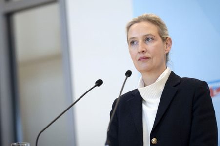 Fraktionssitzung der AfD-Bundestagsfraktion in Berlin