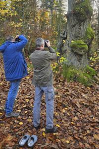 NATURE ART:  Herbst / Autumn Bodypainting